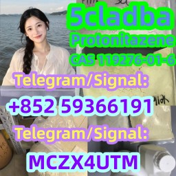 Protonitazene CAS 119276-01-6 High quality and low price
