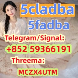 Strong 5cladba raw materials 5CL - ADB precursor powder
