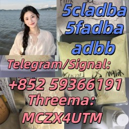 5cladba Raw Material Adbb 5CL-ADB-A 5cladba
