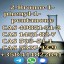 99% Purity 2-BroMovalerophenone CAS 49851-31-2 100% Pass Customs Door to Door