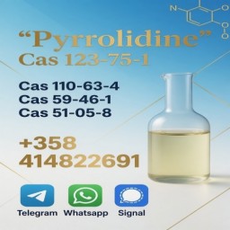 good quality Pyrrolidine CAS 123-75-1 factory supply with low price
