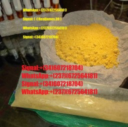Signal:(@Realjames.39)Buy DMT, NN dmt, Cartridges dmt, vape pen dmt .5ml Purecybin – 300mg, DMT hold