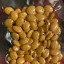 Signal:(@Realjames.39)Buy 6CL-ADB A, 5CLADBA, bmkoil, pmk ethylgly cidate, Etonitazepipne, Mcat (Mep 0