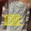 Signal:(@Realjames.39)BUY PSILOCYBE MUSHROOMS ONLINE /BUY ALBINO PENIS ENVY /GOLDEN TEACHERS MUSHROO 0 Signal:(@Realjames.39)BUY PSILOCYBE MUSHROOMS ONLINE /BUY ALBINO PENIS ENVY /GOLDEN TEACHERS MUSHROO 0