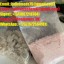 Signal:(@Realjames.39)ALBINO PENIS ENVY MAGIC MUSHROOM WHERE TO BUY ONLINE USA,UKRAINE,UK,EUROPE 0