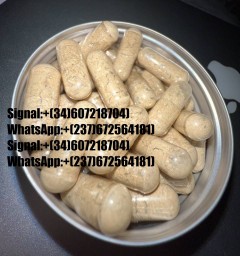 Signal:(@Realjames.39)BUY PSILOCYBE MUSHROOMS ONLINE /BUY ALBINO PENIS ENVY /GOLDEN TEACHERS MUSHROO