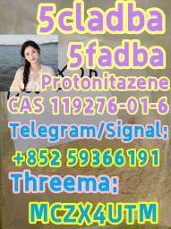 CAS: 119276-01-6 Protonitazene (hydrochloride)
