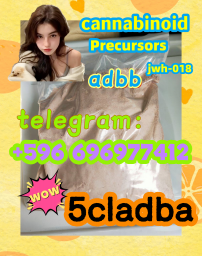 5cladba adbb raw material 5CL-ADB-A precursor raw 5cladba 5f adb 4fadb in Ampara