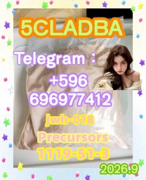 Strongest 5cladba raw material 5CL-ADB-A precursor powder and liquid