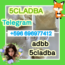 5cladba precursor raw 5cl-adb-a raw material
