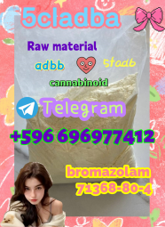 5cladba 5cl yellow powder 5cladba from best supplier