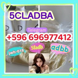 Raw material 5CL-ADB-A precursor raw | PDF