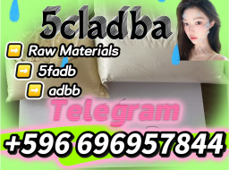 From China 5cl-adb Supplier 5cl 5cladba 5cl Adb Vendor Precursor On Sale By Shanghai Jingwu