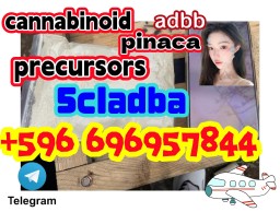 From China 5cl-adb Supplier 5cl 5cladba 5cl Adb Vendor Precursor On Sale By Shanghai Jingwu