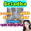 Good Service ADBB，5cl，5cl-adb，5cl-adba，5cladbb