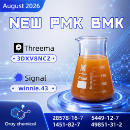 PMK CAS 28578-16-7 | High-Quality Chemical Product Manufacturer