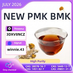 PMK CAS 28578-16-7 Bulk Chemical Supply Manufacturer