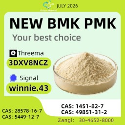 PMK CAS 28578-16-7 Material Profile