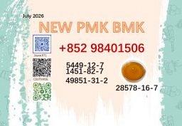 Best selling 5449-12-7 / 28578-16-7 BMK PMK Powder Factory supply