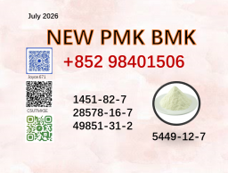 World Trade Vendor BMK P.MK Powder 5449-12-7 and 28578-16-7
