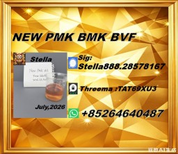 Top quality CAS 28578-16-7 P-MK and CAS 5449-12-7 BM-K/49851-31-2