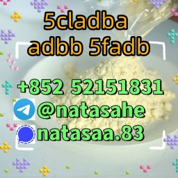 5cladba 5cl yellow powder 5cladba from best supplier