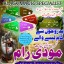 Asli Amil baba Pakistan,Kala Jadu Amil Baba in Karachi,Free Amil baba in USA,Online black magic spec
