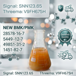 NEW P.MK B.MK CAS 28578 -16-7 Ethyl Glycidate Manufacture High Purity