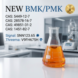 NEW P.MK B.MK CAS 28578 -16-7 Ethyl Glycidate Manufacture High Purity