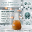 NEW P.MK B.MK CAS 28578 -16-7 Ethyl Glycidate Manufacture High Purity