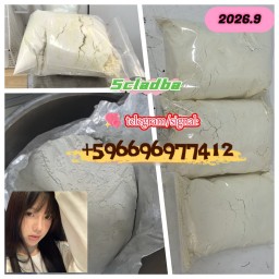 5cladba 5cl yellow powder 5cladba from best supplier